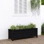 vidaXL Hochbeet Schwarz 119,5x40x39 cm Massivholz Kiefer vidaXL Hochbeet Schwarz 119,5x40x39 cm Massivholz Kiefer