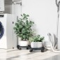 Pflanzenroller mit Rollen 2 Stk. Grau Durchmesser 34 cm 35 kg Pflanzenroller mit Rollen 2 Stk. Grau Durchmesser 34 cm 35 kg