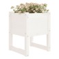 vidaXL Pflanzkübel 2 Stk. Weiß 40x40x52,5 cm Massivholz Kiefer vidaXL Pflanzkübel 2 Stk. Weiß 40x40x52,5 cm Massivholz Kiefer