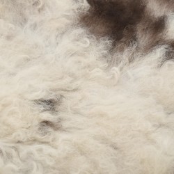 vidaXL Schaffell Mischfarbe 70x100 cm