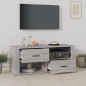 vidaXL TV-Schrank Grau Sonoma 100x35x40 cm Holzwerkstoff vidaXL TV-Schrank Grau Sonoma 100x35x40 cm Holzwerkstoff