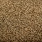 vidaXL Fußmatte Waschbar Braun 60x90 cm vidaXL Fußmatte Waschbar Braun 60x90 cm