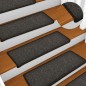 vidaXL Teppich-Treppenstufen 15 Stk. 65x21x4 cm Anthrazit vidaXL Teppich-Treppenstufen 15 Stk. 65x21x4 cm Anthrazit