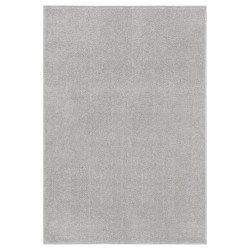 vidaXL Teppich Kurzflor 200x290 cm Hellgrau