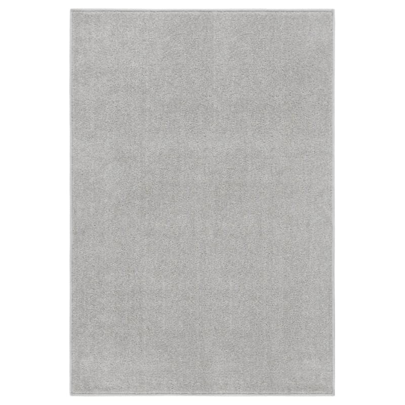 vidaXL Teppich Kurzflor 200x290 cm Hellgrau vidaXL Teppich Kurzflor 200x290 cm Hellgrau