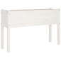 vidaXL Pflanzkübel 2 Stk. Weiß 110x31x70 cm Massivholz Kiefer vidaXL Pflanzkübel 2 Stk. Weiß 110x31x70 cm Massivholz Kiefer