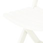vidaXL Klappbare Gartenstühle 2 Stk. Kunststoff Weiß vidaXL Klappbare Gartenstühle 2 Stk. Kunststoff Weiß