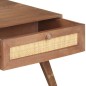 vidaXL Couchtisch 100x60x40 cm Mango Massivholz vidaXL Couchtisch 100x60x40 cm Mango Massivholz