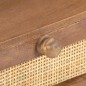 vidaXL Couchtisch 100x60x40 cm Mango Massivholz vidaXL Couchtisch 100x60x40 cm Mango Massivholz
