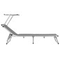 vidaXL Klappbare Sonnenliegen mit Dach 2 Stk. Aluminium Textilene Grau vidaXL Klappbare Sonnenliegen mit Dach 2 Stk. Aluminium Textilene Grau