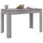 vidaXL Esstisch Grau Sonoma 120x60x76 cm Holzwerkstoff vidaXL Esstisch Grau Sonoma 120x60x76 cm Holzwerkstoff