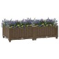 vidaXL Hochbeet 80x40x23 cm Polypropylen vidaXL Hochbeet 80x40x23 cm Polypropylen