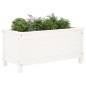 vidaXL Pflanzkübel Weiß 82,5x40x39 cm Massivholz Kiefer vidaXL Pflanzkübel Weiß 82,5x40x39 cm Massivholz Kiefer