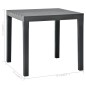 vidaXL Gartentisch mit 2 Bänken Kunststoff Anthrazit vidaXL Gartentisch mit 2 Bänken Kunststoff Anthrazit