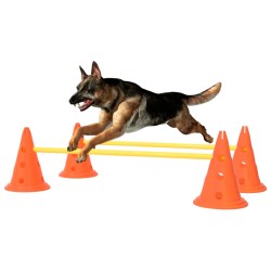 Agility-Ausrüstung