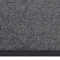vidaXL Fußmatte Anthrazit 40x60 cm 
