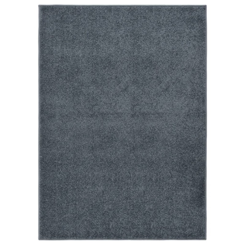vidaXL Teppich Kurzflor 140x200 cm Anthrazit vidaXL Teppich Kurzflor 140x200 cm Anthrazit