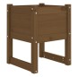 vidaXL Pflanzkübel 2 Stk. Honigbraun 40x40x52,5 cm Massivholz Kiefer vidaXL Pflanzkübel 2 Stk. Honigbraun 40x40x52,5 cm Massivholz Kiefer