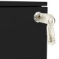 vidaXL Aktenschrank mit Rollen Schwarz 39x45x60 cm Stahl vidaXL Aktenschrank mit Rollen Schwarz 39x45x60 cm Stahl