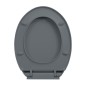 vidaXL Toilettensitz mit Absenkautomatik Grau Oval vidaXL Toilettensitz mit Absenkautomatik Grau Oval