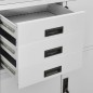 vidaXL Büroschrank Hellgrau 90x40x180 cm Stahl vidaXL Büroschrank Hellgrau 90x40x180 cm Stahl