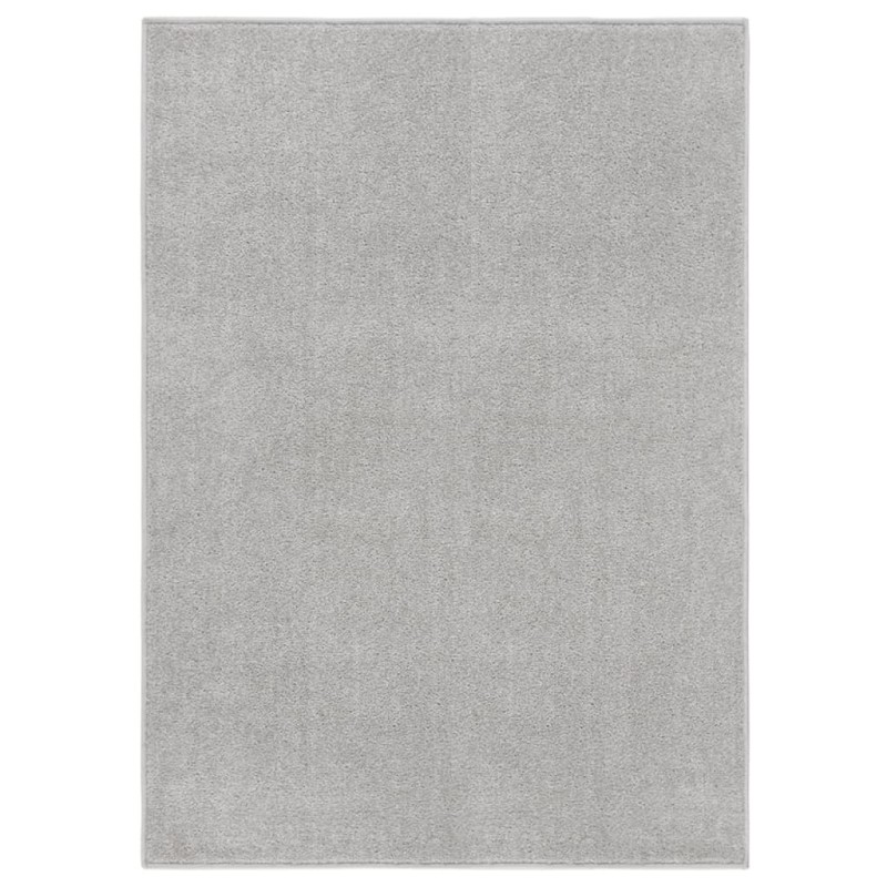 vidaXL Teppich Kurzflor 140x200 cm Hellgrau vidaXL Teppich Kurzflor 140x200 cm Hellgrau