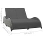 vidaXL Doppel-Sonnenliege mit Auflage Poly Rattan Anthrazit vidaXL Doppel-Sonnenliege mit Auflage Poly Rattan Anthrazit