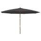 vidaXL Sonnenschirm mit Holzmast Schwarz 400x273 cm vidaXL Sonnenschirm mit Holzmast Schwarz 400x273 cm
