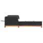 Sonnenliege Poly Rattan und Massivholz Akazie Schwarz Sonnenliege Poly Rattan und Massivholz Akazie Schwarz