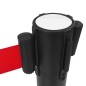 vidaXL Personenleitsysteme 4 Stk. Eisen Schwarz vidaXL Personenleitsysteme 4 Stk. Eisen Schwarz