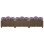 vidaXL Hochbeet 120x40x23 cm Polypropylen vidaXL Hochbeet 120x40x23 cm Polypropylen