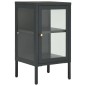vidaXL Sideboard Anthrazit 38x35x70 cm Stahl und Glas vidaXL Sideboard Anthrazit 38x35x70 cm Stahl und Glas