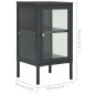 vidaXL Sideboard Anthrazit 38x35x70 cm Stahl und Glas vidaXL Sideboard Anthrazit 38x35x70 cm Stahl und Glas