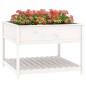 vidaXL Pflanzkübel mit Ablage Weiß 111,5x111,5x81 cm Massivholz Kiefer vidaXL Pflanzkübel mit Ablage Weiß 111,5x111,5x81 cm Massivholz Kiefer