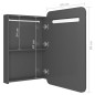 vidaXL LED-Bad-Spiegelschrank Glänzendes Grau 60x11x80 cm vidaXL LED-Bad-Spiegelschrank Glänzendes Grau 60x11x80 cm
