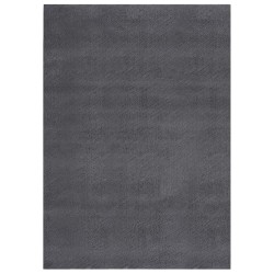 vidaXL Teppich Waschbar Flauschig Kurzflor 120x170 Rutschfest Anthrazi