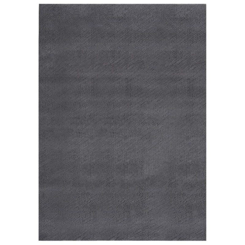 vidaXL Teppich Waschbar Flauschig Kurzflor 120x170 Rutschfest Anthrazi vidaXL Teppich Waschbar Flauschig Kurzflor 120x170 Rutschfest Anthrazi