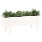 vidaXL Hochbeet Weiß 101x30x38 cm Massivholz Kiefer vidaXL Hochbeet Weiß 101x30x38 cm Massivholz Kiefer