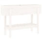vidaXL Hochbeet Weiß 101x30x69 cm Massivholz Kiefer vidaXL Hochbeet Weiß 101x30x69 cm Massivholz Kiefer