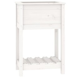 vidaXL Pflanzkübel mit Ablage Weiß 54x34,5x81 cm Massivholz Kiefer