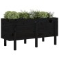 vidaXL Hochbeet Schwarz 121x50x57 cm Massivholz Kiefer vidaXL Hochbeet Schwarz 121x50x57 cm Massivholz Kiefer