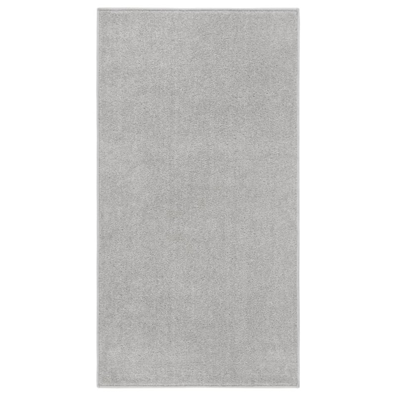 vidaXL Teppich Kurzflor 80x150 cm Hellgrau vidaXL Teppich Kurzflor 80x150 cm Hellgrau