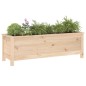 vidaXL Hochbeet 119,5x40x39 cm Massivholz Kiefer vidaXL Hochbeet 119,5x40x39 cm Massivholz Kiefer