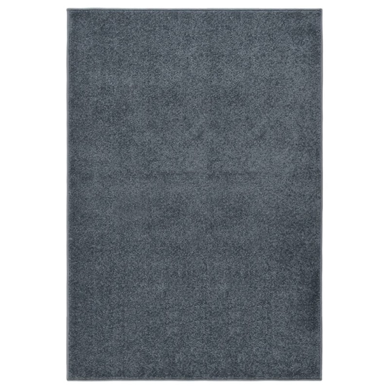vidaXL Teppich Kurzflor 160x230 cm Anthrazit vidaXL Teppich Kurzflor 160x230 cm Anthrazit