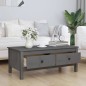 vidaXL Couchtisch Grau 100x50x40 cm Massivholz Kiefer vidaXL Couchtisch Grau 100x50x40 cm Massivholz Kiefer