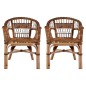 Gartenstühle 2 Stk. Natürliches Rattan Braun Gartenstühle 2 Stk. Natürliches Rattan Braun