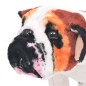 vidaXL Plüschtier Hund Bulldogge Stehend Plüsch Weiß und Braun XXL vidaXL Plüschtier Hund Bulldogge Stehend Plüsch Weiß und Braun XXL