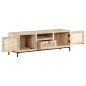 vidaXL TV-Schrank 120x30x40 cm Mango Massivholz und Rohrgeflecht vidaXL TV-Schrank 120x30x40 cm Mango Massivholz und Rohrgeflecht