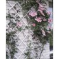 Nature Garten-Rankgitter 100x200 cm PVC Weiß 6040703 Nature Garten-Rankgitter 100x200 cm PVC Weiß 6040703