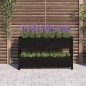 vidaXL Pflanzkübel Schwarz 112x25x66 cm Massivholz Kiefer vidaXL Pflanzkübel Schwarz 112x25x66 cm Massivholz Kiefer